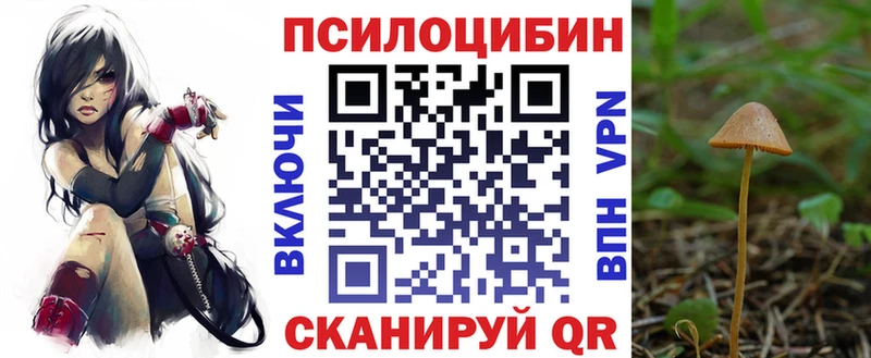 Галлюциногенные грибы мухоморы  Бобров 